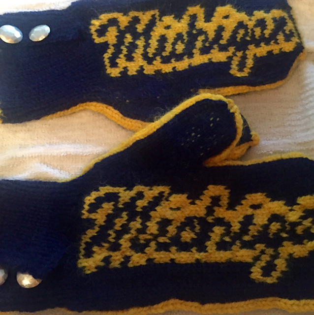 University of Michigan Mitten Kit
