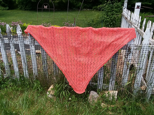 Tangerine Lace Shawl