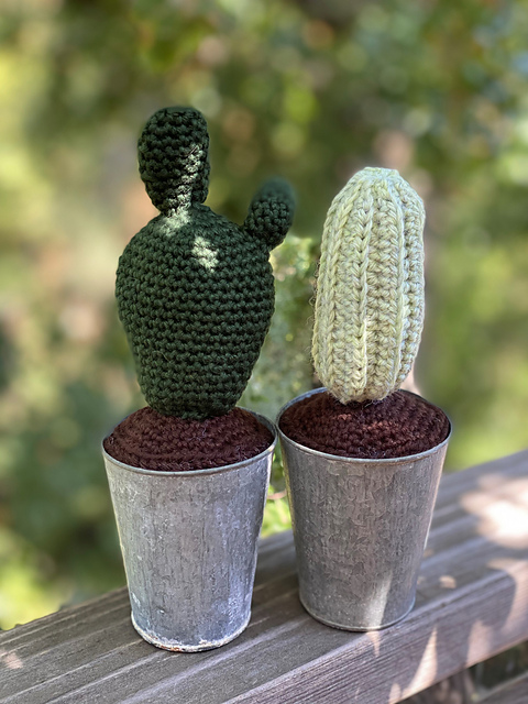 Cactus Pair