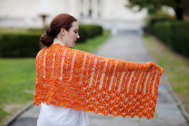 Lycaena virgaureae Shawl