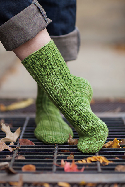 Erasmia pulchella Sock