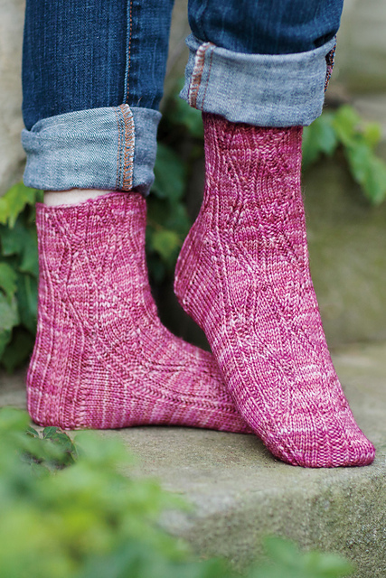 Bunodes Crassicornis Sock