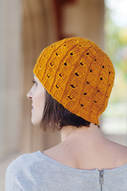 Bunodes crassicornis Hat