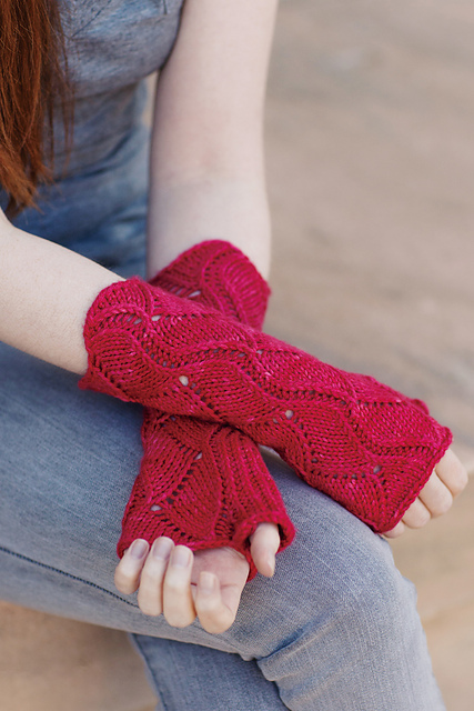 Zostera marina Mitt