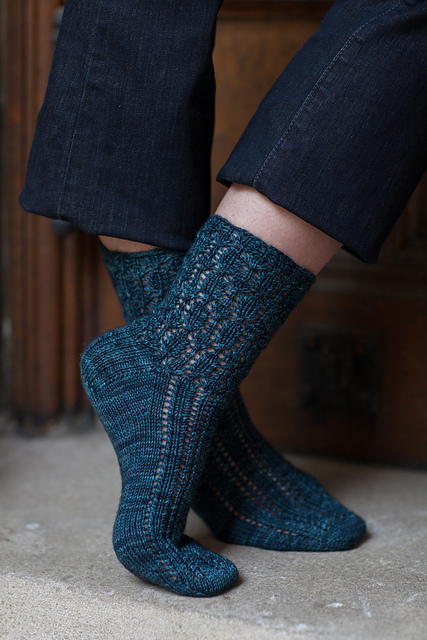 Danima banksiae Sock