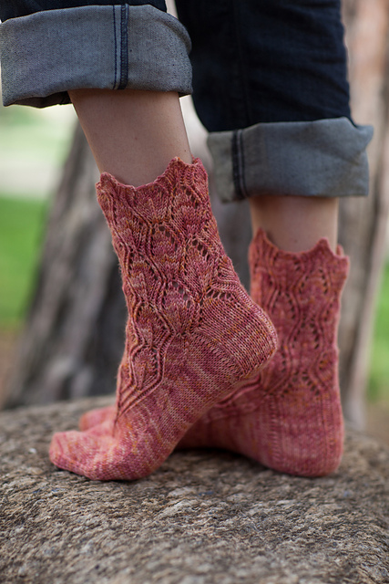 Metopsilus porcellus Sock