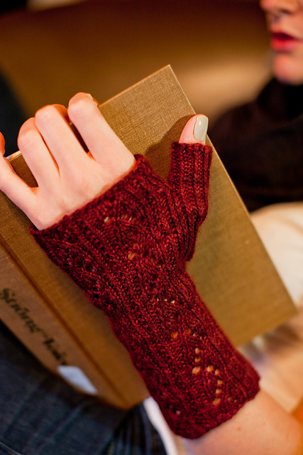 Rosa rubiginosa Mitts