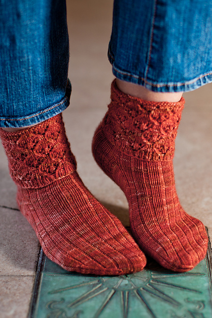 Loasa lateritia Sock