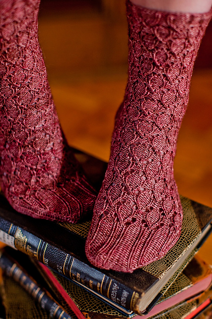 Linaria bipartita Socks