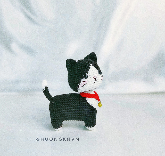 Standing Tuxedo Kitten