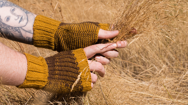 Harvest
