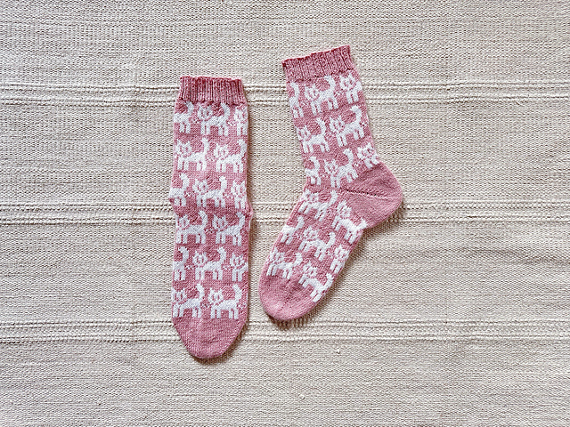 I also have kittens Socks