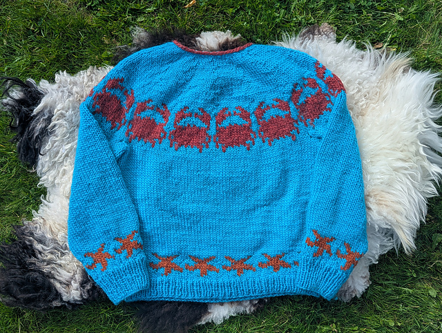 Crabby Coast Pullover