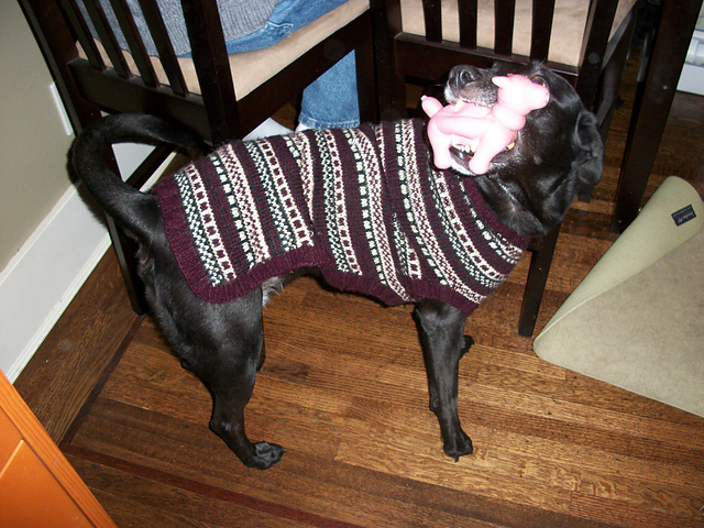 Basic Coat