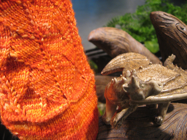 Dermus Dracchus