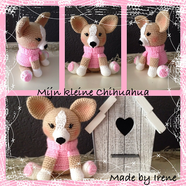 My Little Chihuahua
