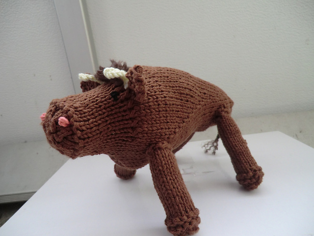 Ox / Ochse