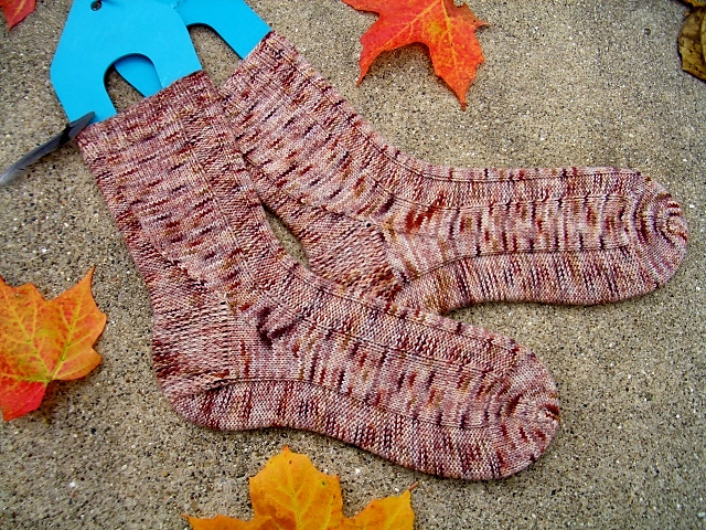 Song Sparrow Socks
