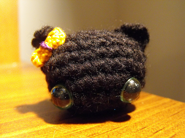 Tiny Black Cat