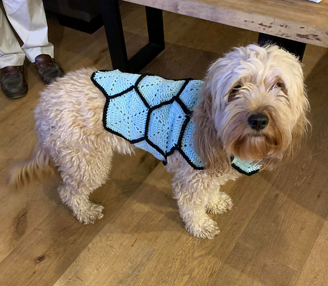 Archie's Dog Coat