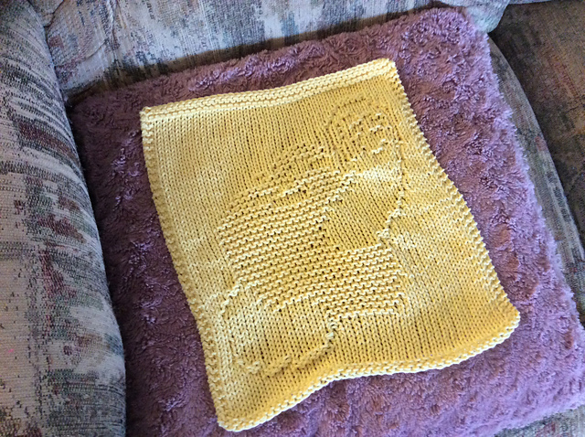 Apple Cloth 2
