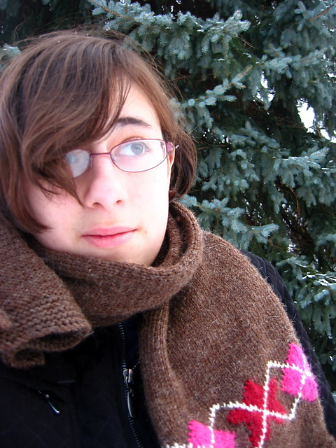 Stargyle Scarf