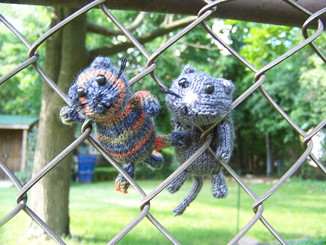 Scrappy Cats