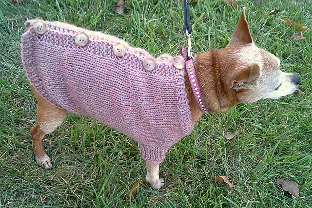 Chloe's Cardigan Dog Sweater