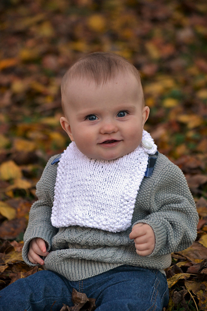 Hunsburger Baby Bib