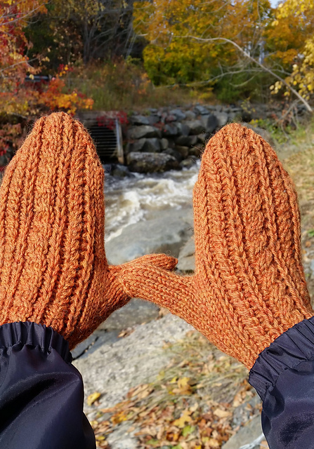 Leamh Mittens