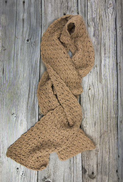 Luxurious Star Scarf and Hood