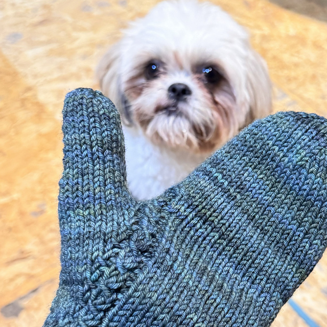 miko's mittens
