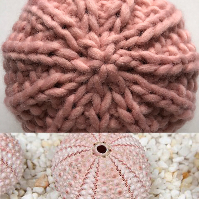 Urchin