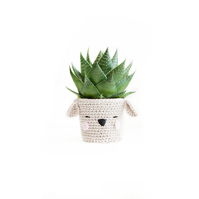 Dog Pot