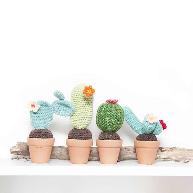 Mini Cactus