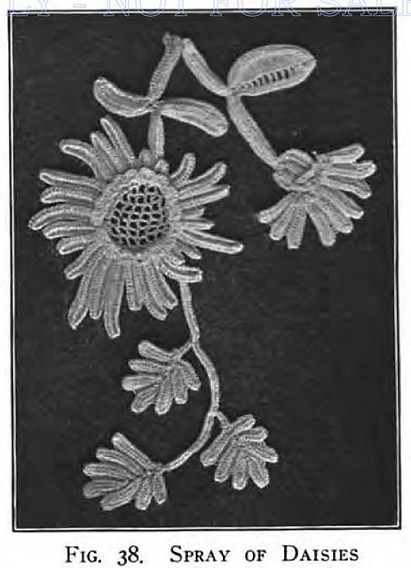 Spray of Daisies Fig. 38