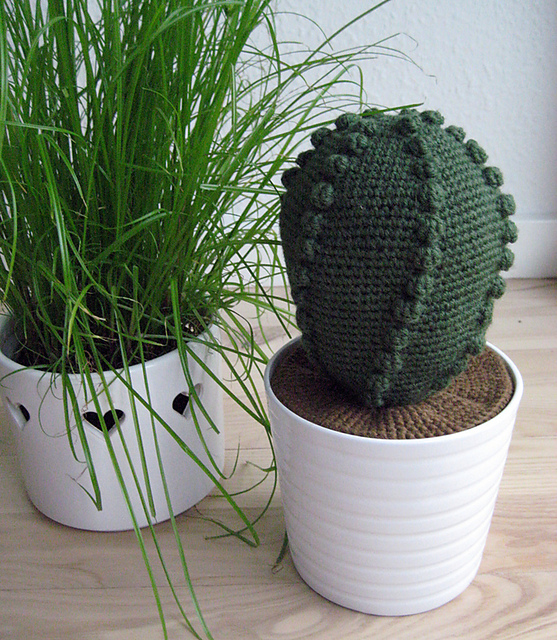 Crochet Cactus (Hæklet kaktus)