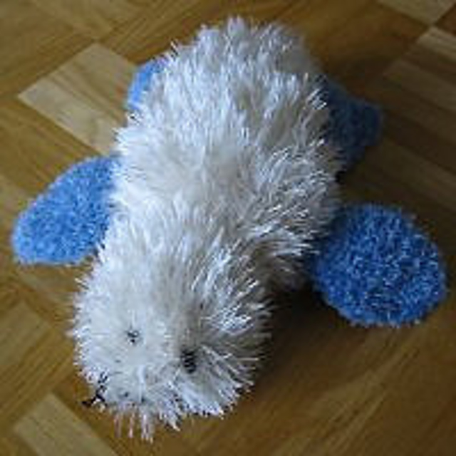 Paula, die Robbe