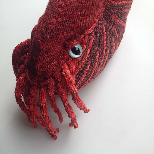Horatio the Nautilus