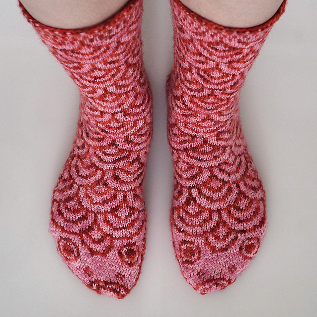 Critter Socks | Nishikigoi