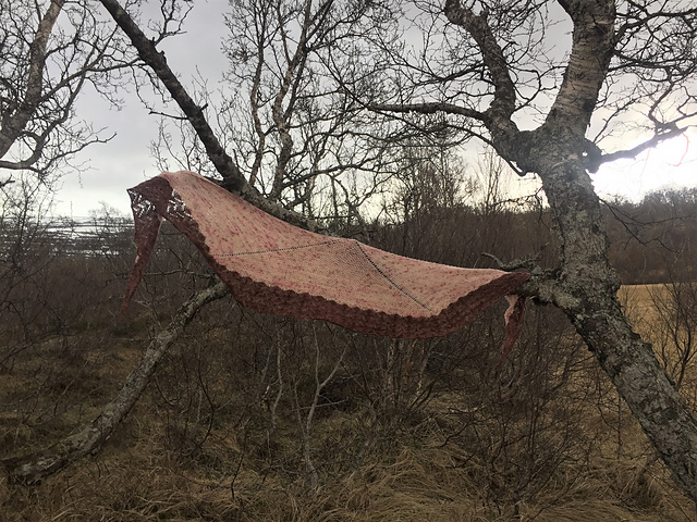 Nýtt Upphaf (New Beginnings)