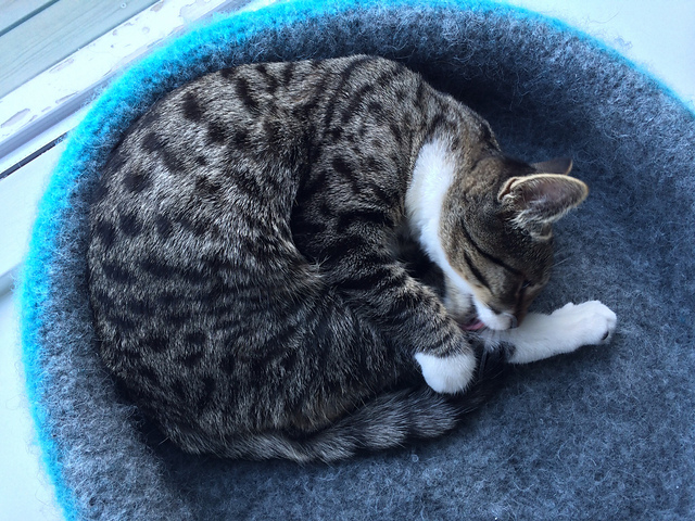 Felted pet bed "De Luxe" 