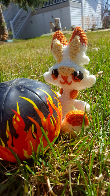 Pokemon Amie: Scorbunny