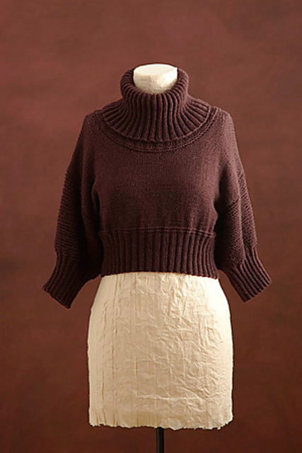 Cropped Turtleneck