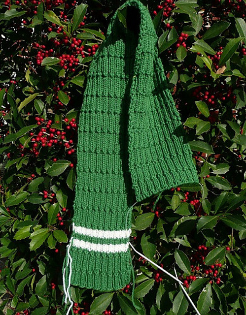 College patriot scarf