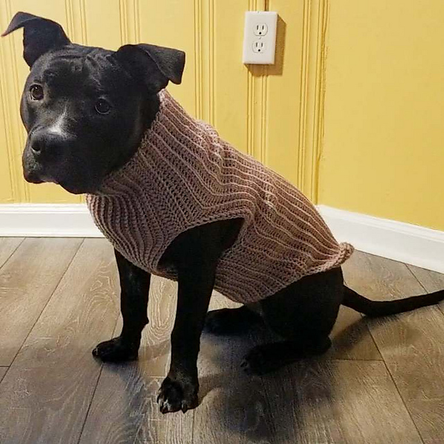 Lemon Squeezy Pet Sweater