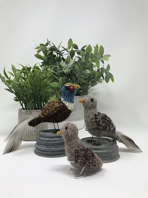 May - The Ringneck Pheasant Family