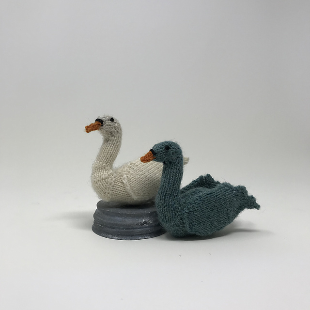 July - Swimming Swans