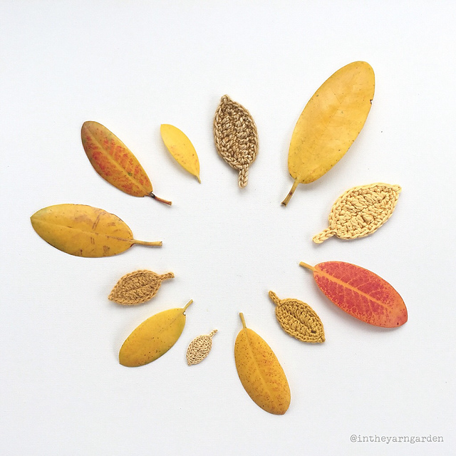 Just another leaf