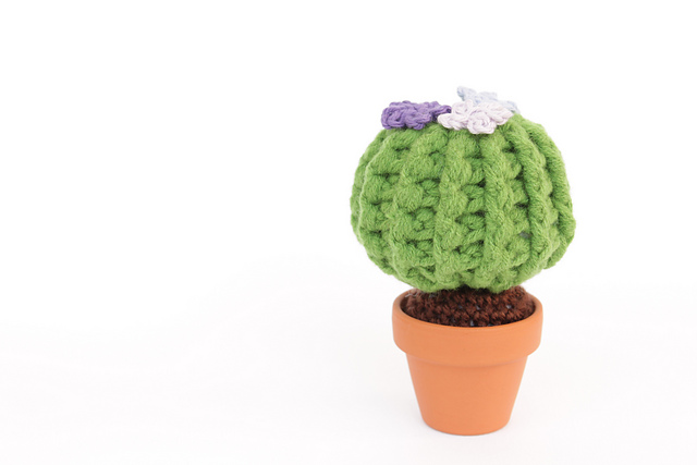 Amigurumi Cactus #3